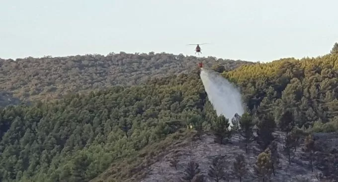 INCENDIO OLVERA.jpg INCENDIO OLVERA.jpg