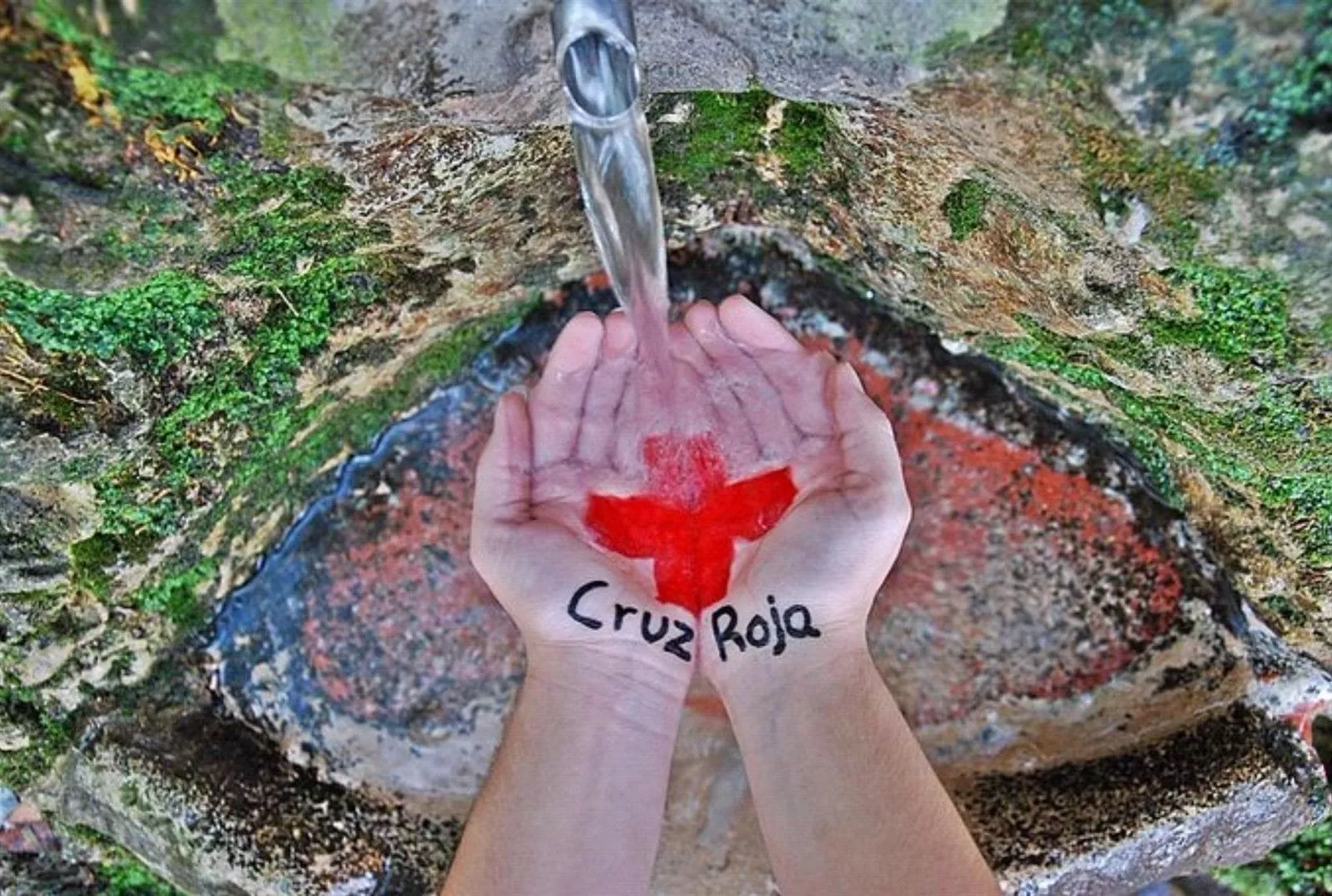 cruz roja .jpg cruz roja .jpg
