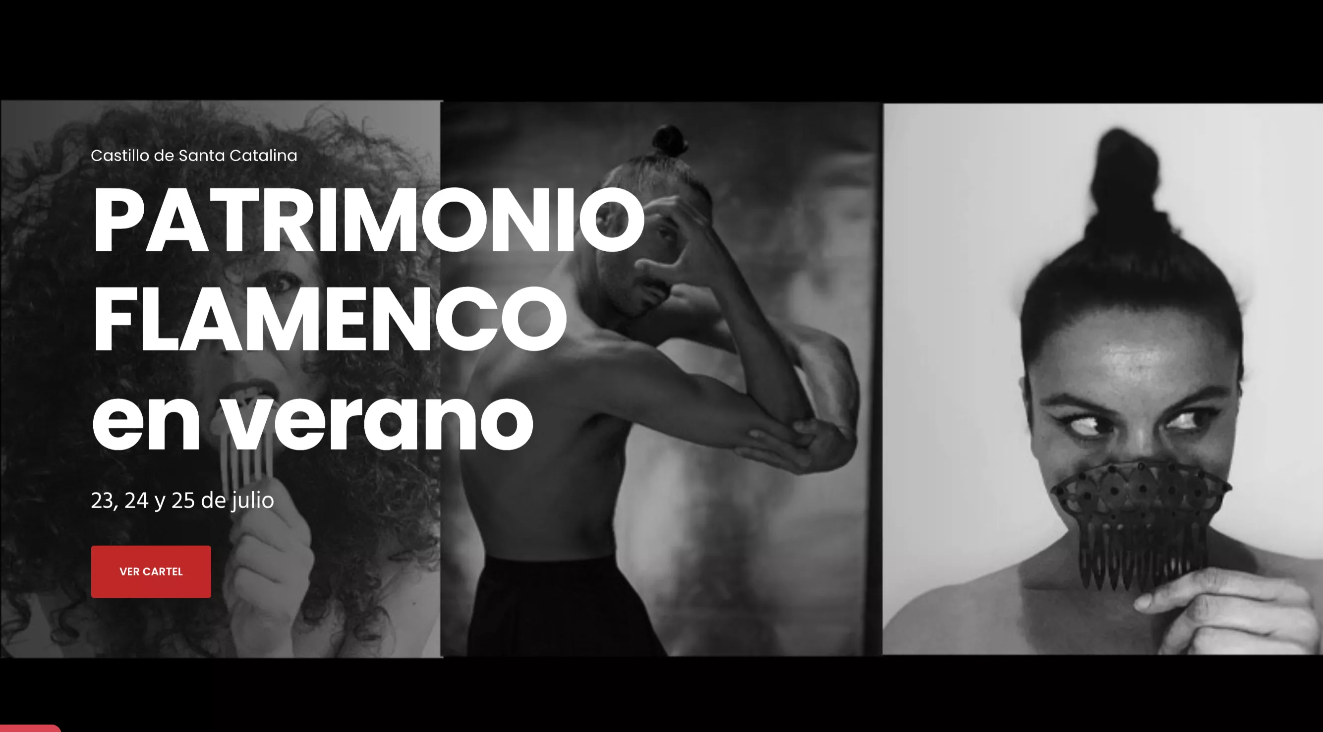 flamenco_1.jpg flamenco_1.jpg