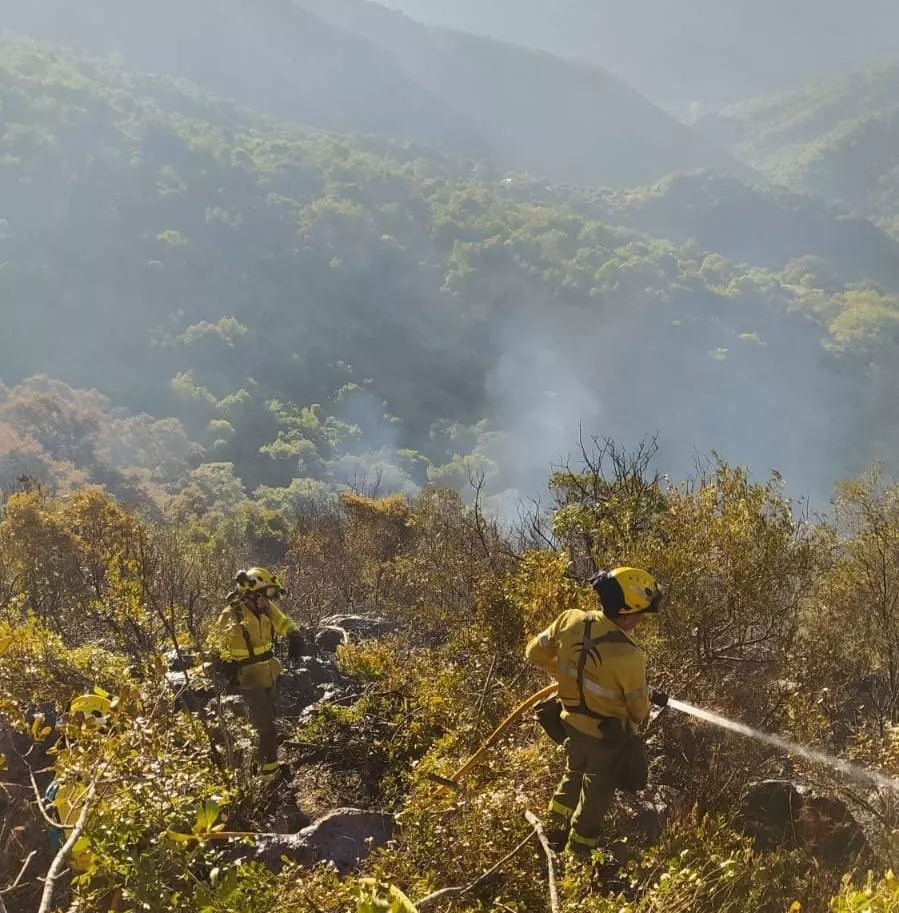 incendio sierra de cadiz.jpg incendio sierra de cadiz.jpg