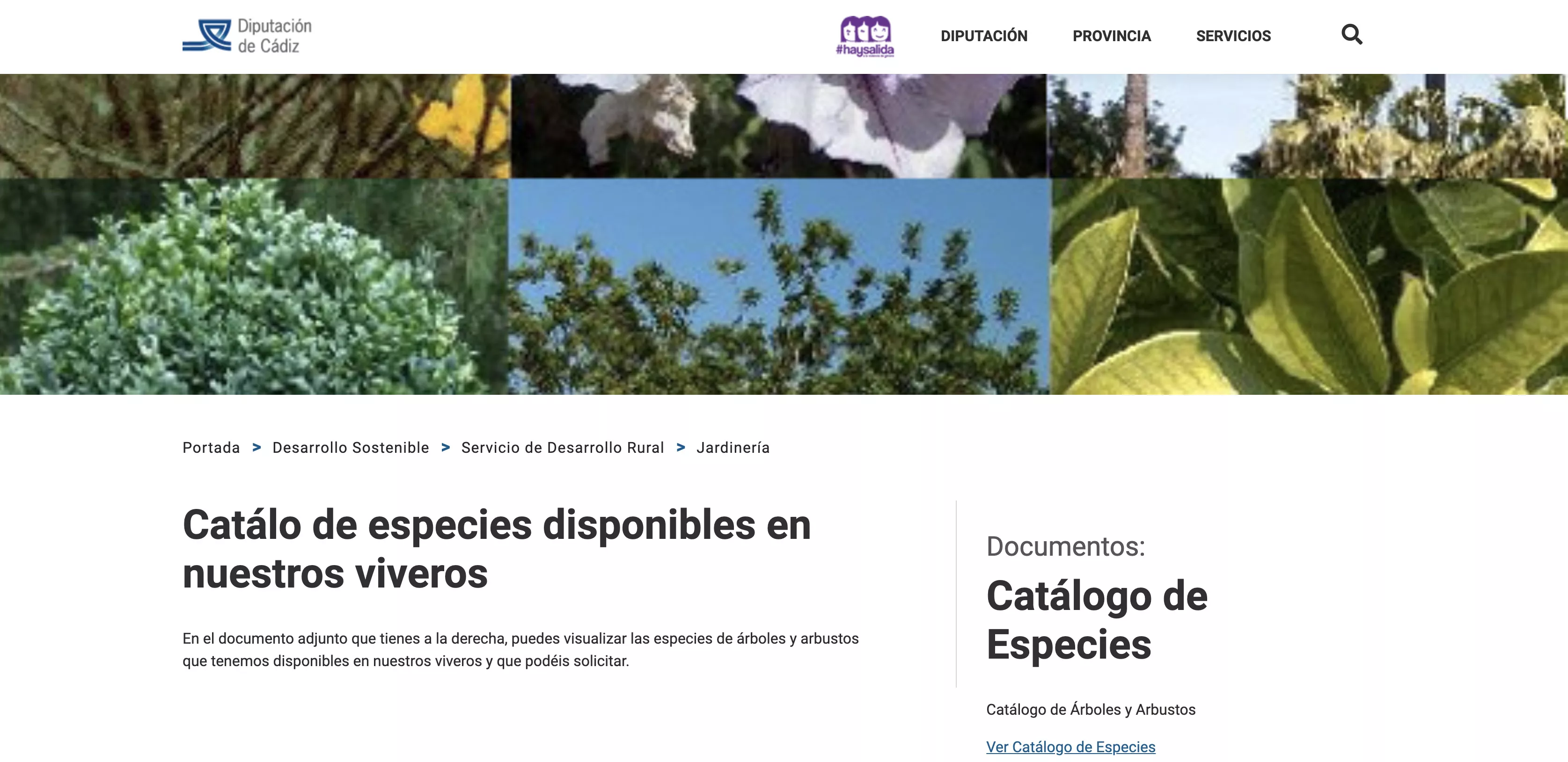 plantas.jpg plantas.jpg