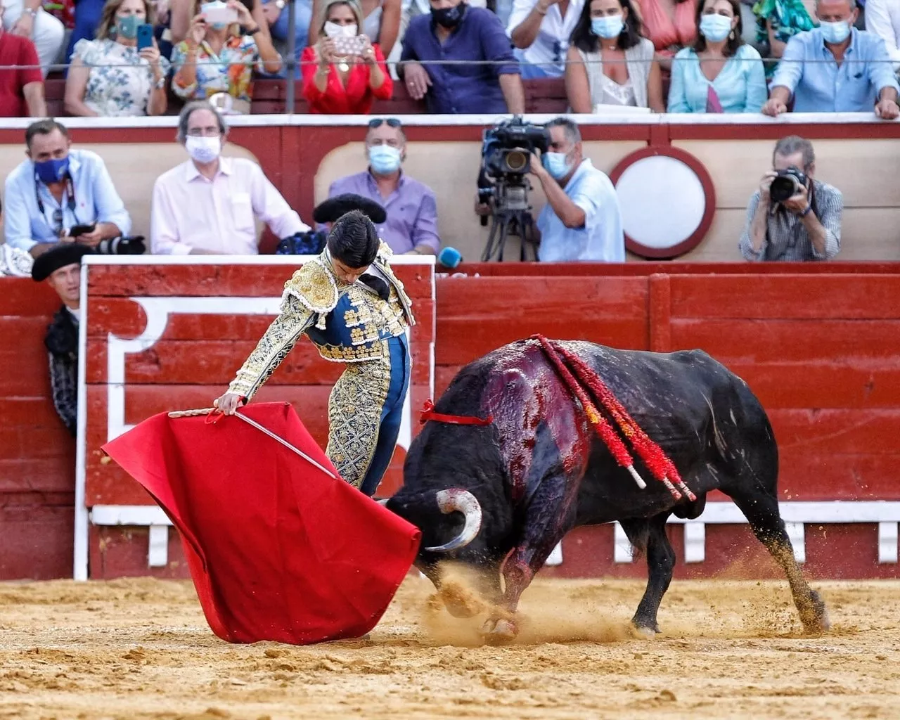toros el puerto.jpg toros el puerto.jpg