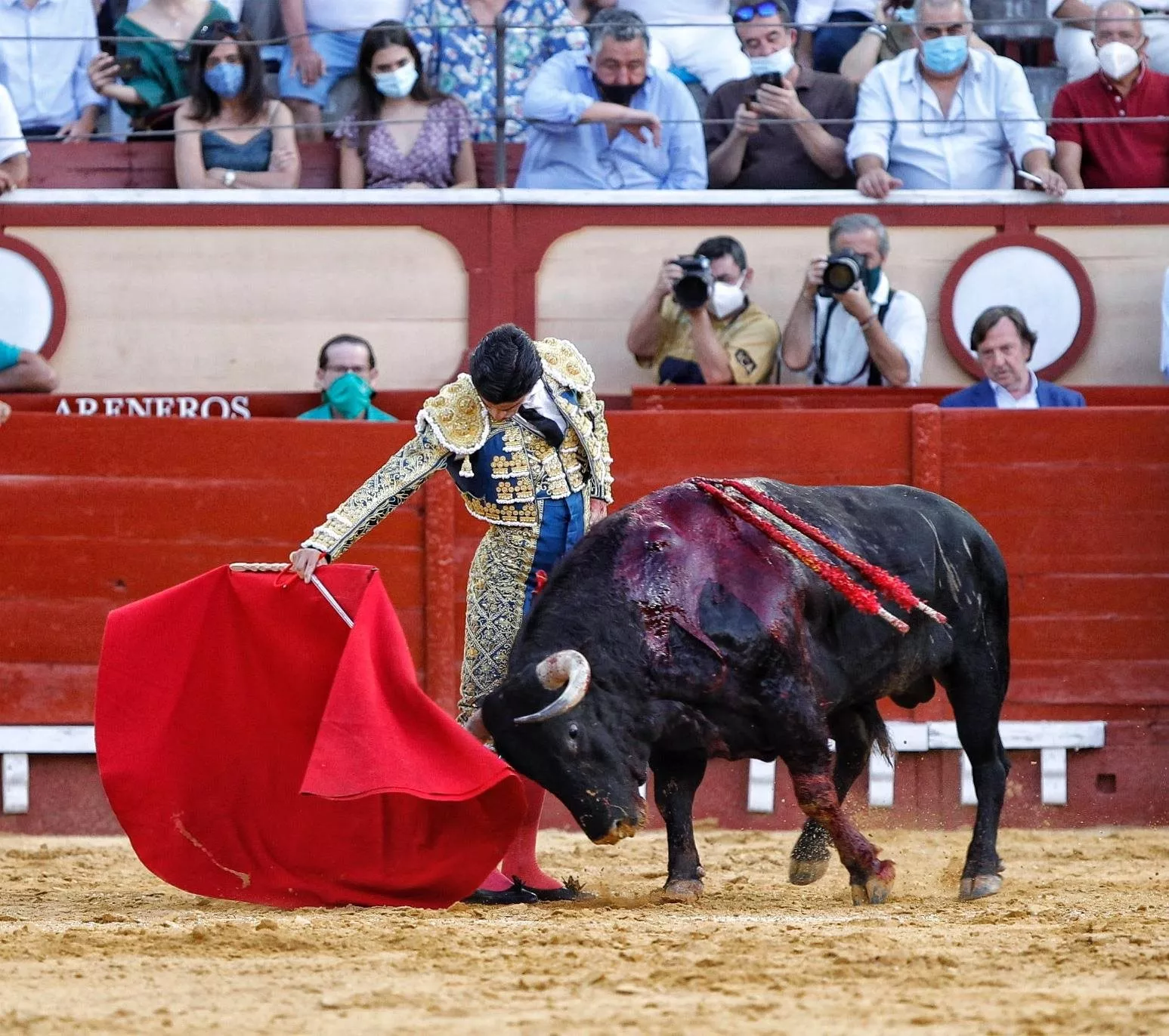 toros.jpg toros.jpg