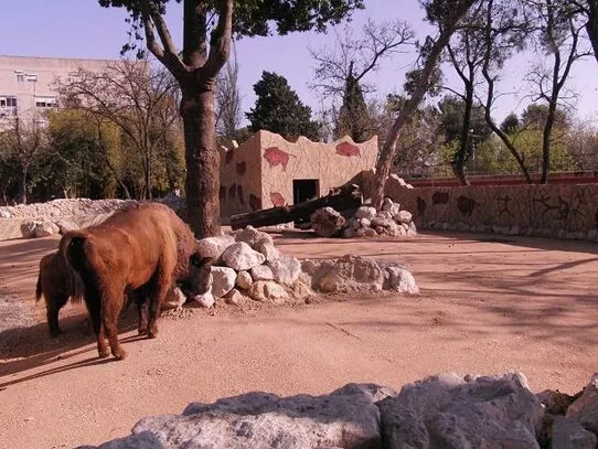 zoo jerez .jpg zoo jerez .jpg