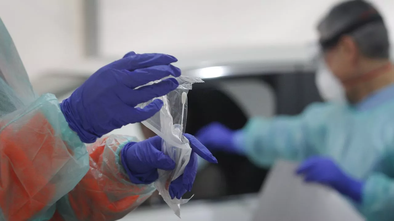 PRUEBAS PCR.jpg PRUEBAS PCR.jpg