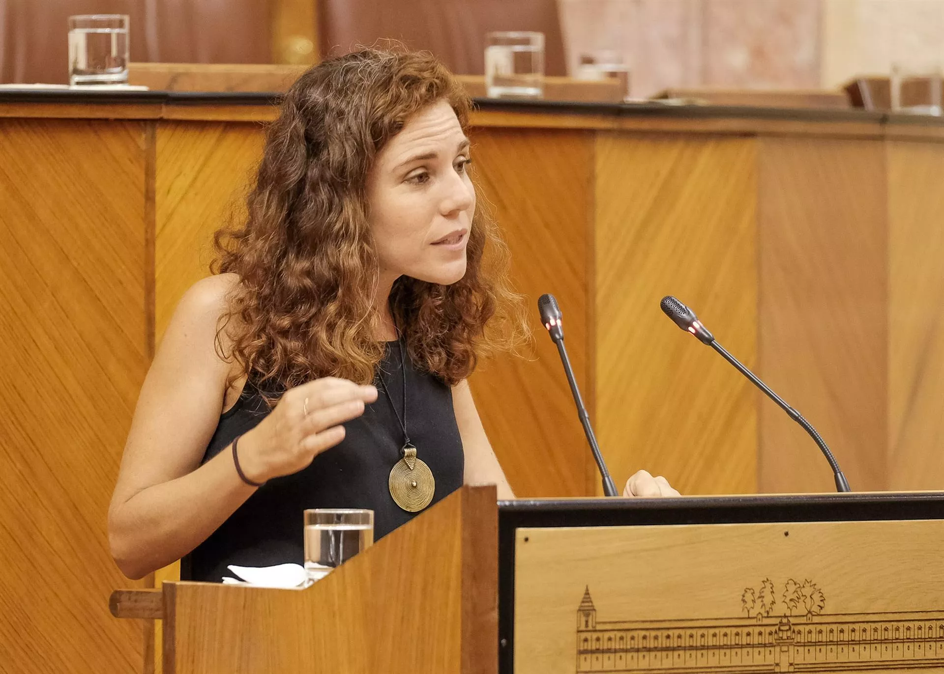 La diputada de Adelante Ana Villaverde defendiendo la iniciativa en la tribuna adelante parlamento.jpg