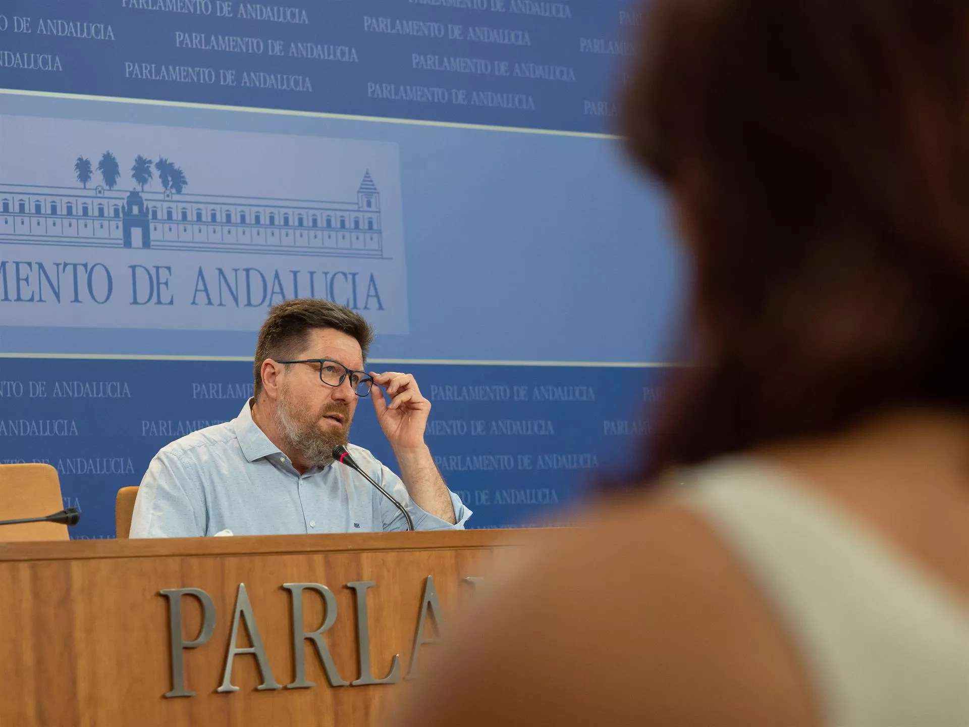 psoe andaluz.jpg psoe andaluz.jpg