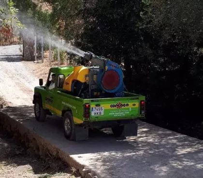 vejer fumigacion.jpg vejer fumigacion.jpg