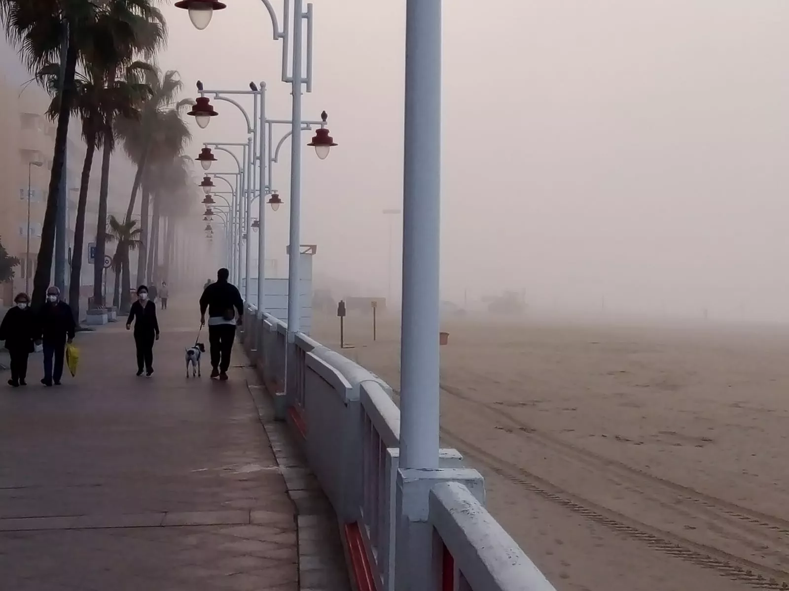 El Paseo Marítimo esta mañana