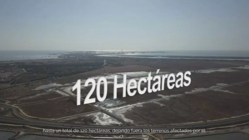 Imagen del nuevo proyecto Aletas, redefinido como Lógica 