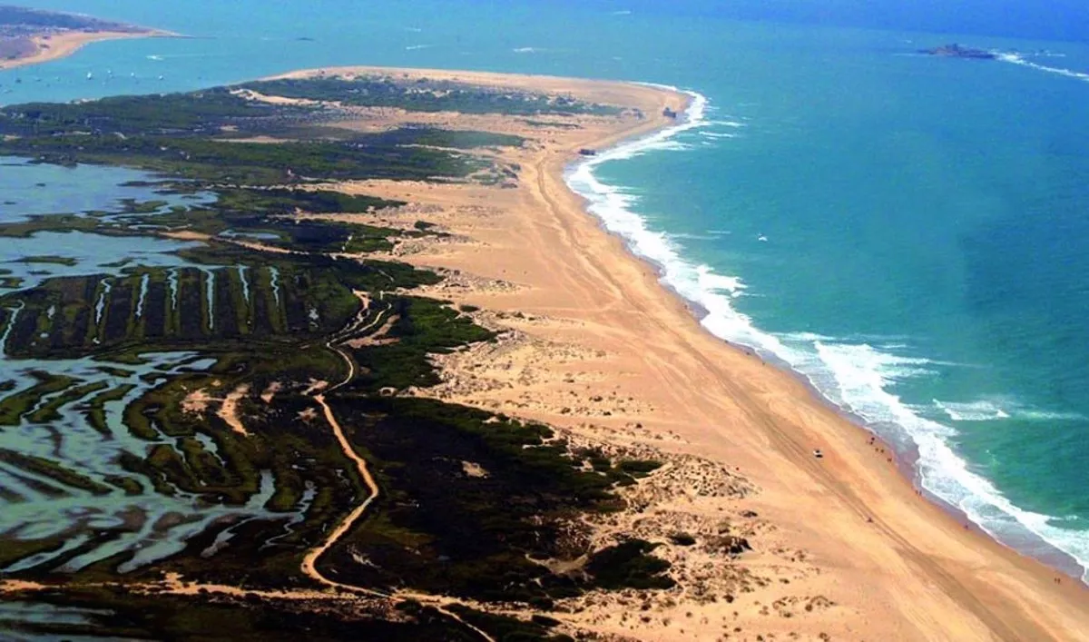 Parque Natural Bahía de Cádiz Parque Natural Bahía de Cádiz