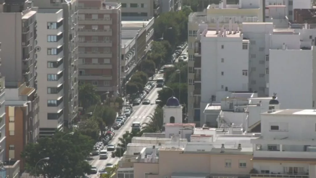 El Ayuntamiento planta casi un centenar de nuevos árboles en calles, plazas y jardines