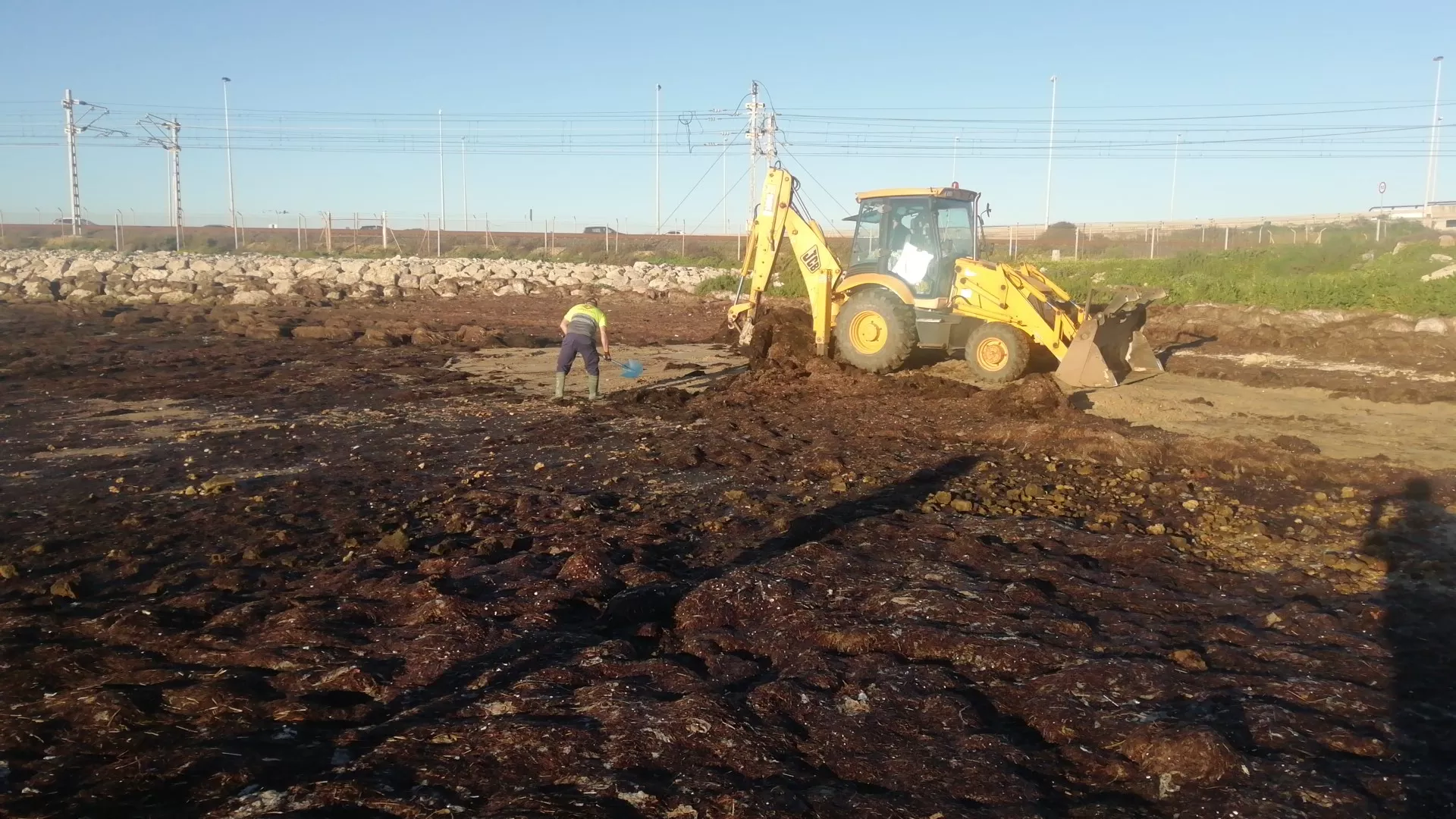 La retroexcavadora trabajando en la zona del vertido. Aguas de Cádiz recoge el vertido acumulado en la Bahía