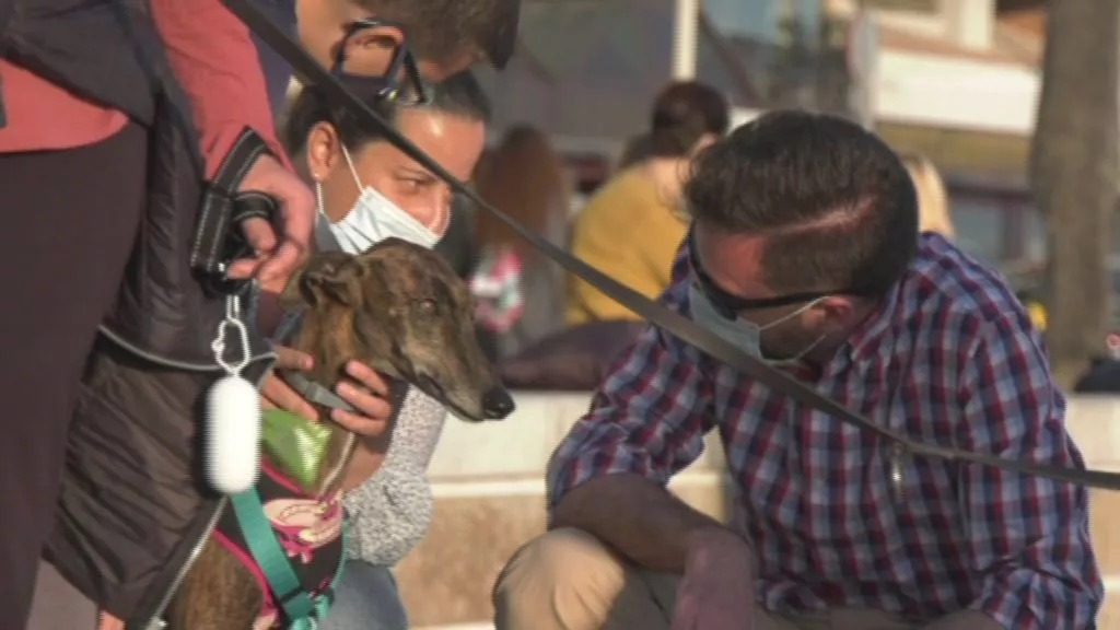 Solicitan franjas horarias autorizadas para bajar a la playa con sus perros