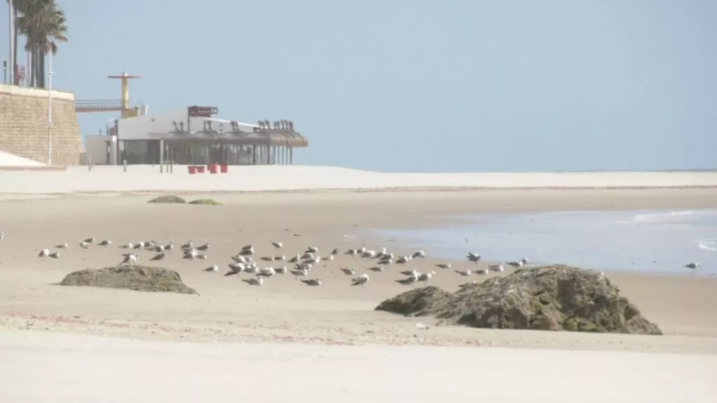 Demarcación de Costas adecuará la playa de Santa María para ensanchar la arena en la zona central