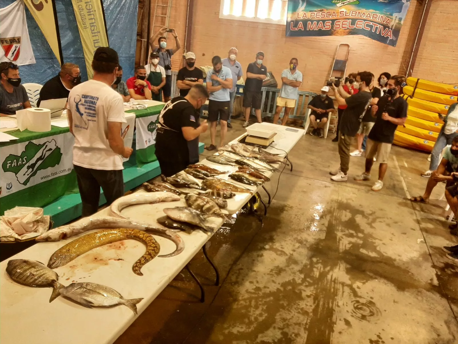 David Fernández ha capturado solo en un día 31 pescados