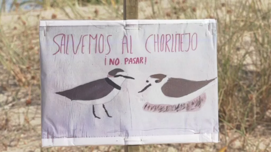 Cartel que indica la zona de protección del chorlitejo patinegro