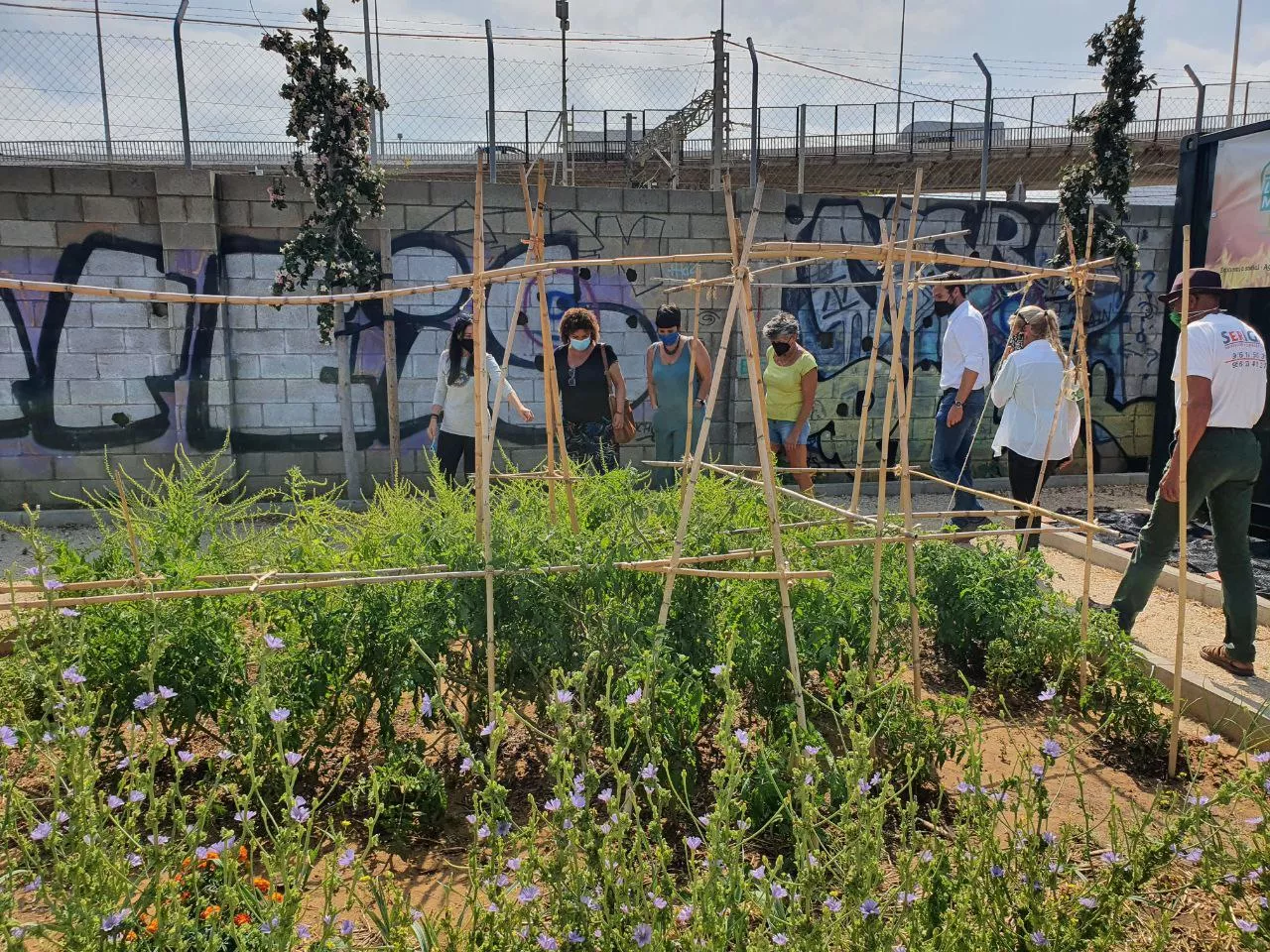 El Equipo de Gobierno apuesta por "el fomento de la agricultura urbana como medio para mejorar el medio ambiente"