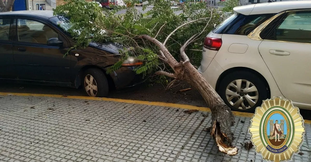 Solo se han lamentado daños materiales