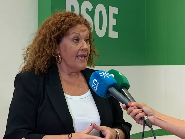 La portavoz adjunta en el Parlamento de Andalucía y secretaria de Organización del PSOE de Cádiz, Araceli Maese