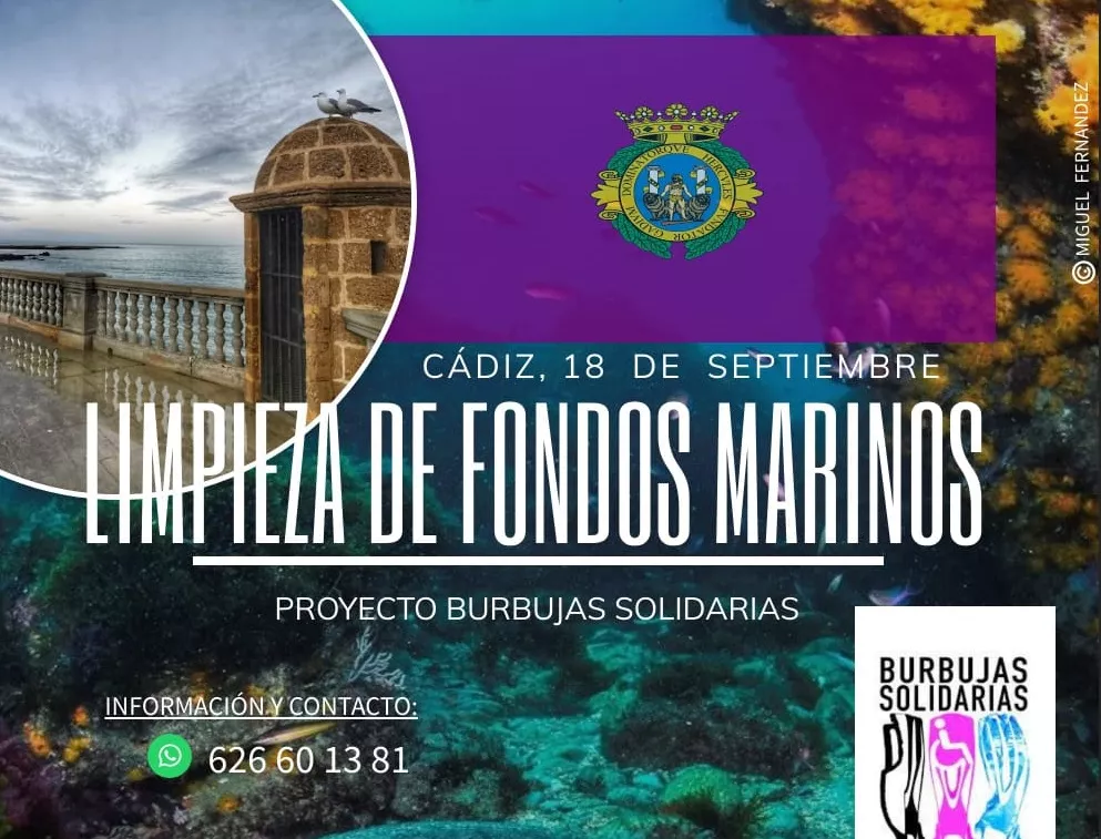 El Ayuntamiento se suma a la campaña de Limpieza de Fondos Marinos que se celebrará el sábado 18.