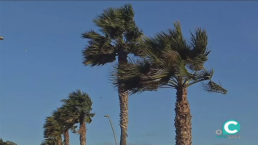 Aviso amarillo este martes en el litoral de la provincia por fuerte oleaje