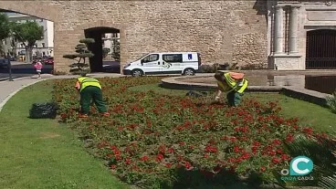 Operarios de Parques y Jardines trabajando en las zonas verdes de Puertas de Tierra