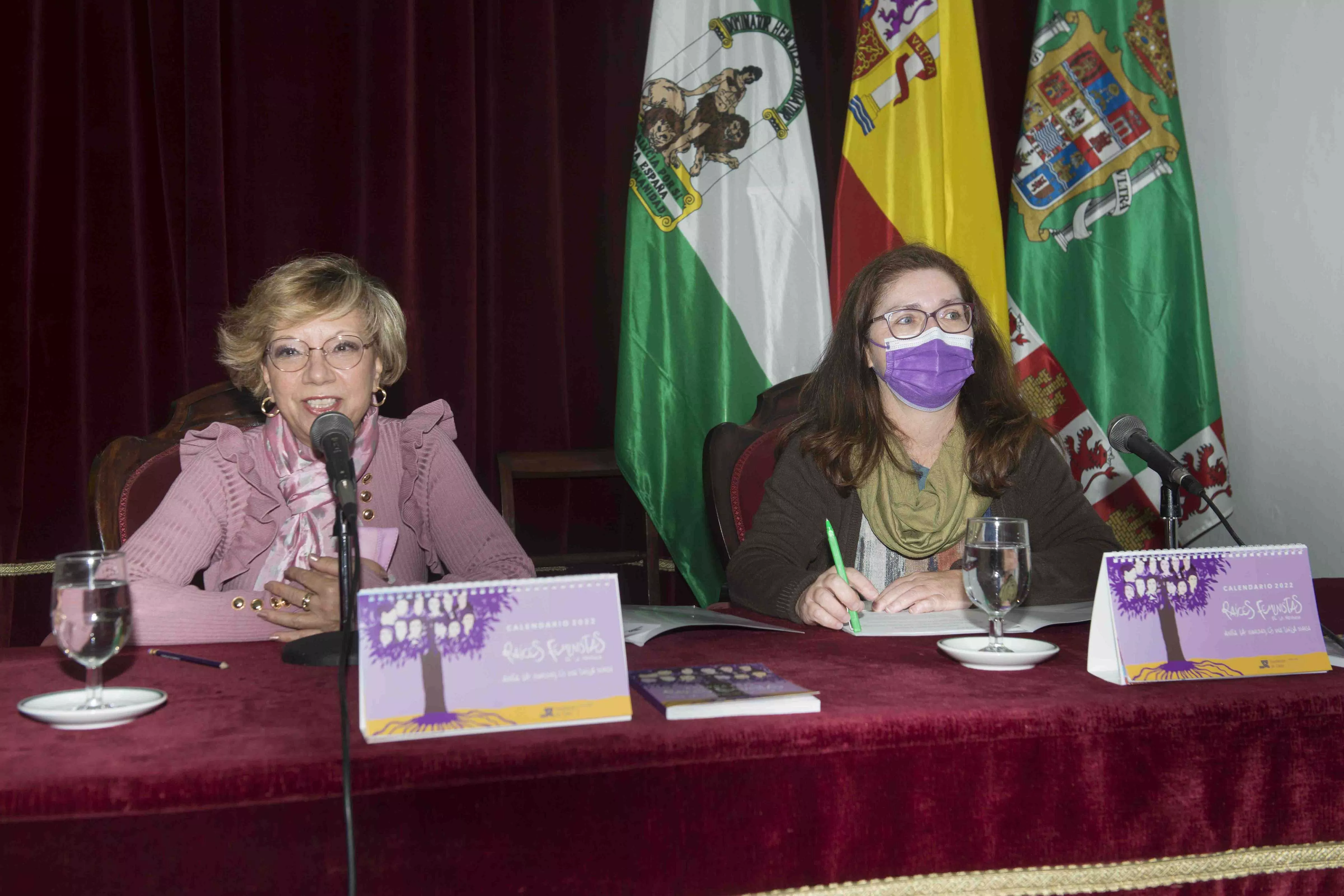 Carmen Collado preside el Consejo provincial de Igualdad