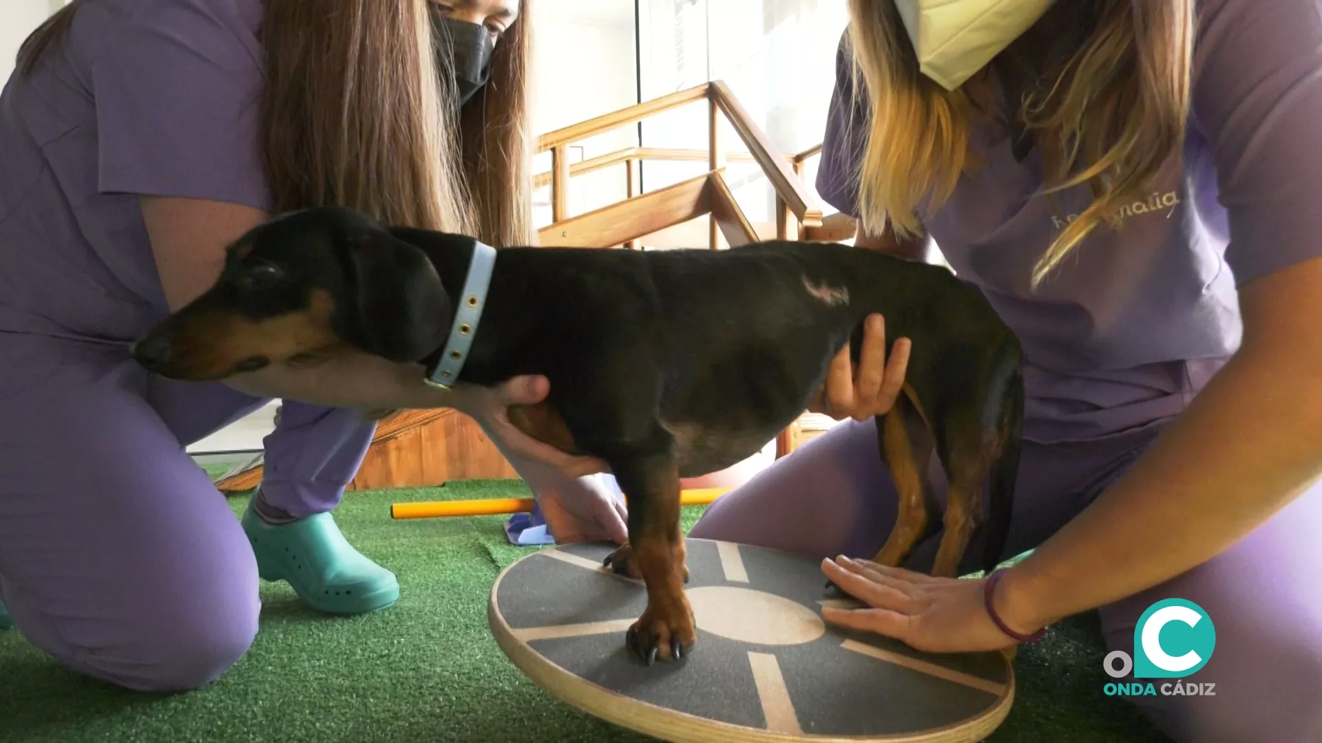 Una de las pacientes, Maggie, recuperándose de su operación de hernia discal Una de las pacientes, Maggie, recuperándose de su operación de hernia discal