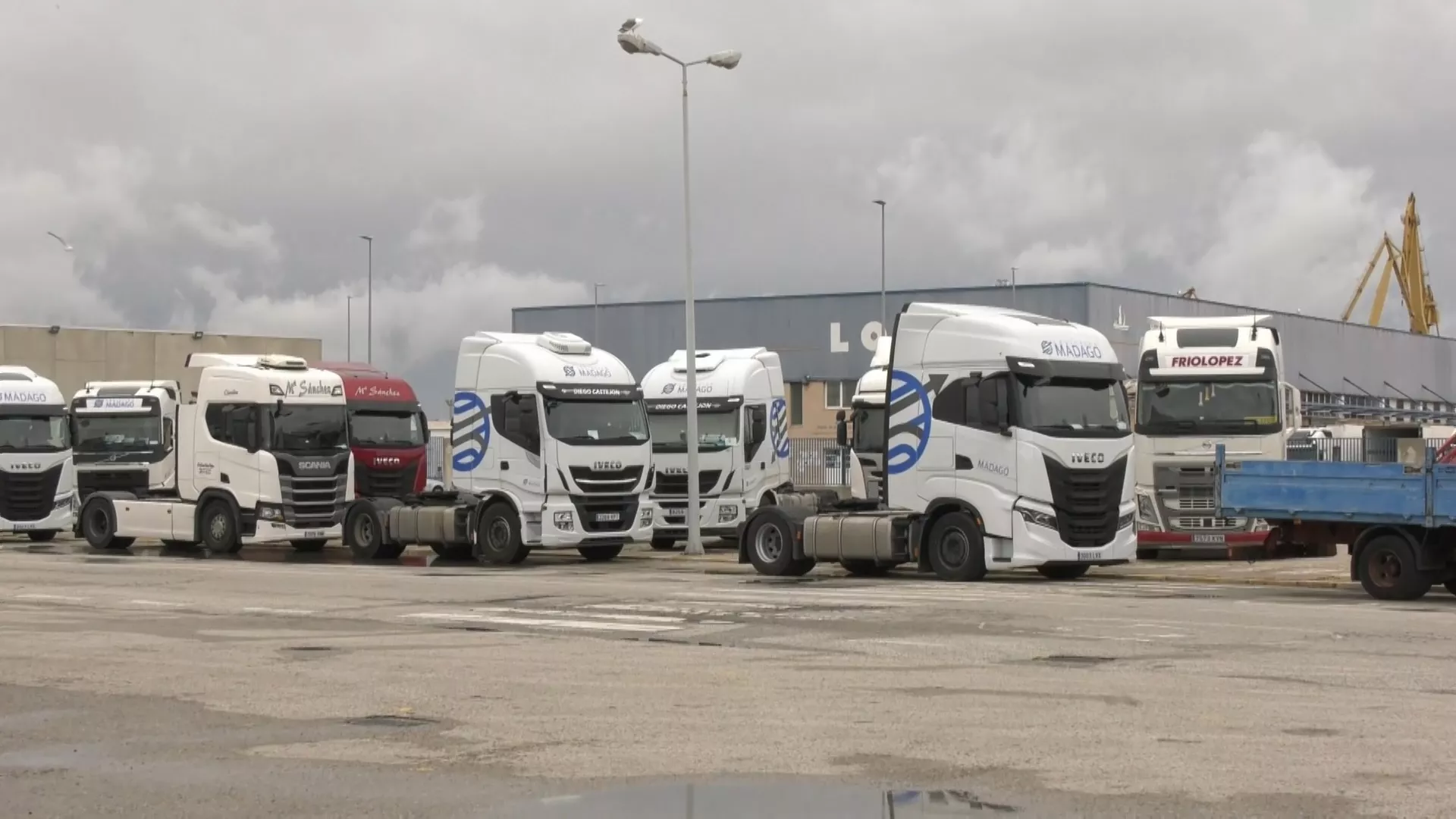 Camiones parados en el puerto de Cádiz delante de la Lonja pesquera