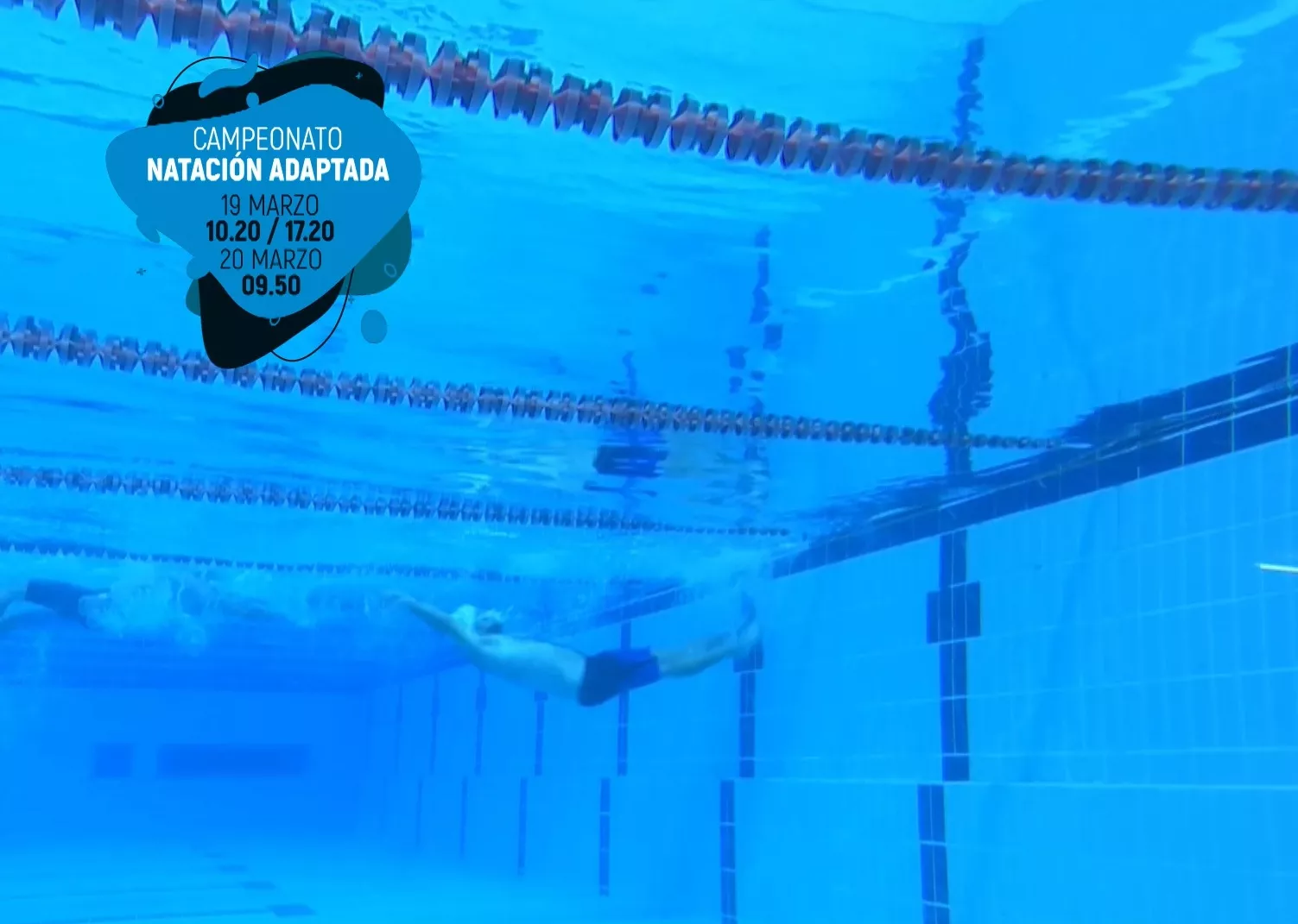 Sigue en directo el Campeonato de España de Natación Adaptada.