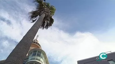 Cádiz en alerta naranja Cádiz en alerta naranja