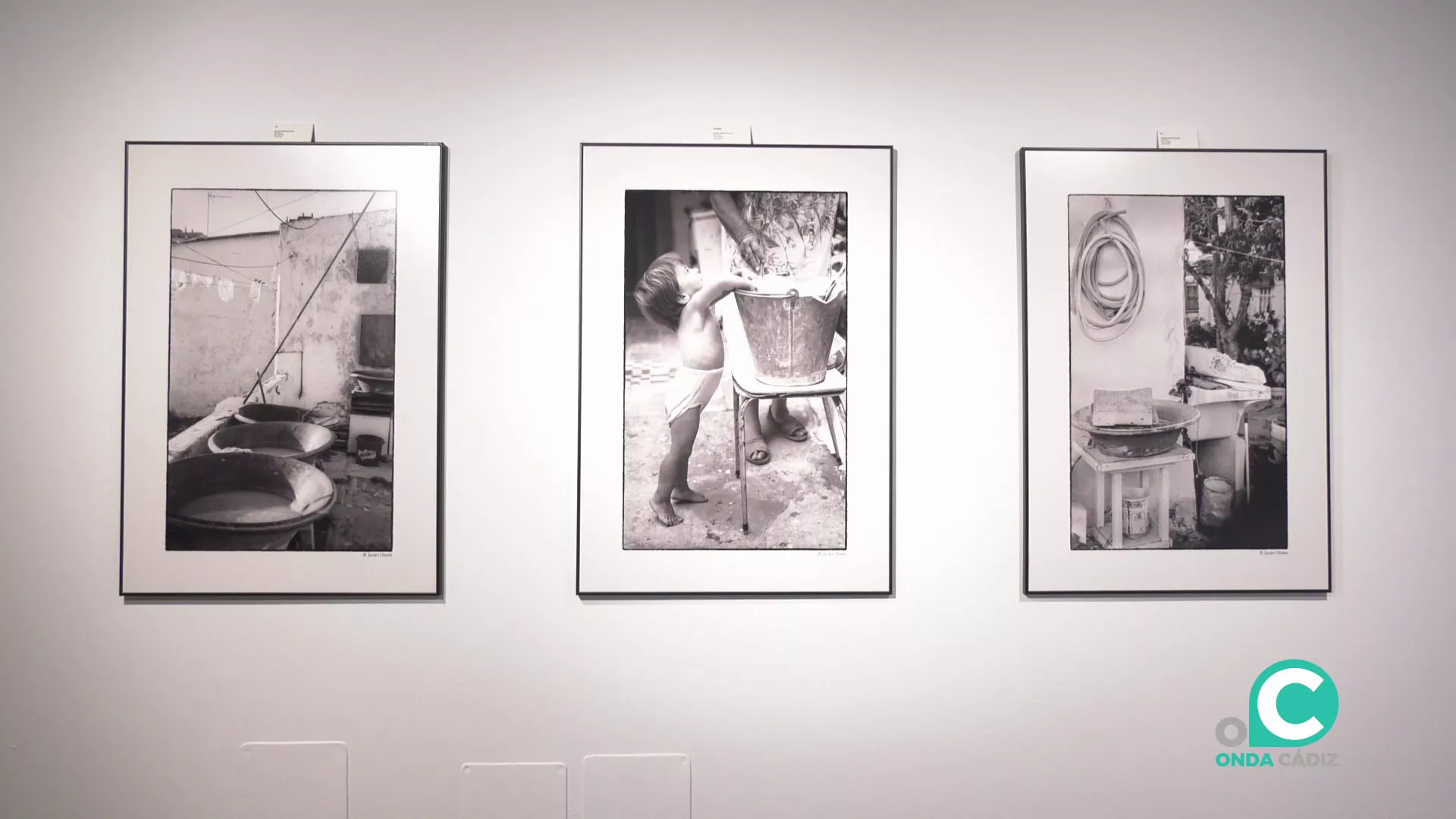 Tres fotografías de la muestra. Tres fotografías de la muestra.