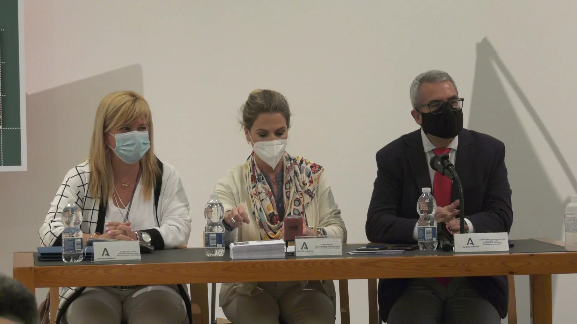 Ana Mestre en rueda de prensa en el Museo de Cádiz 