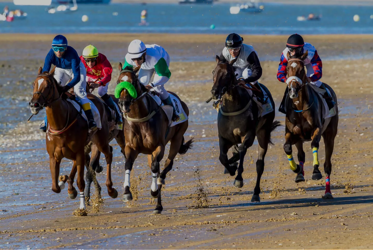 Sanlúcar volverá a disfrutar de sus tradicionales Carreras de Caballos este próximo verano