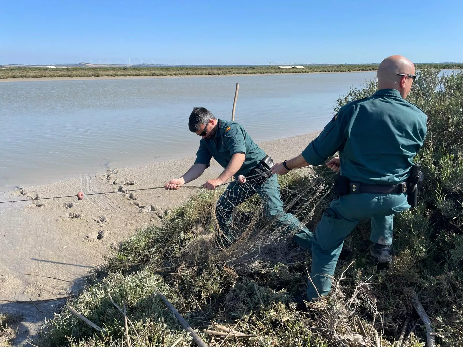 El Seprona incauta 17 kg de coquinas ilegales en el Puerto de Santa María.