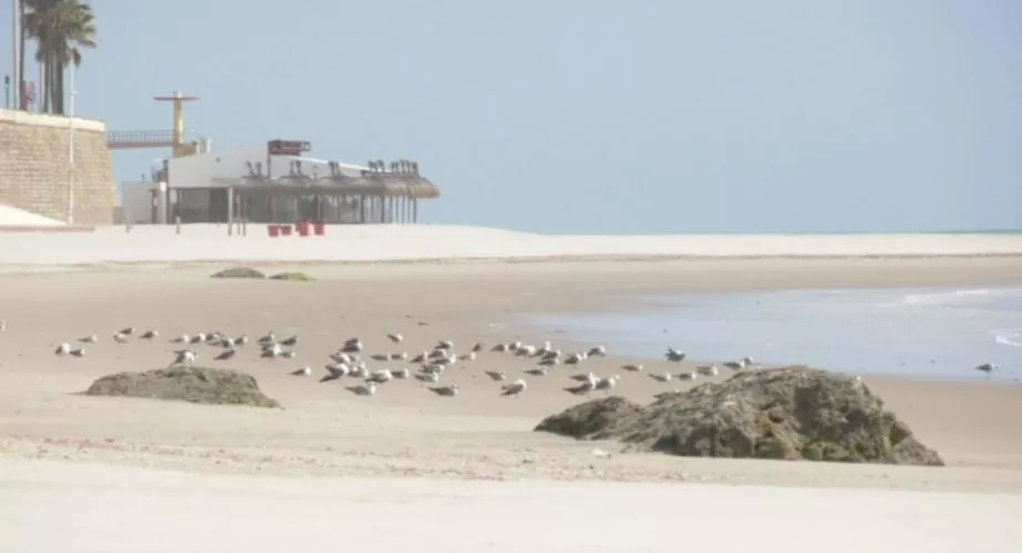 La ola de calor afectará a toda la provincia