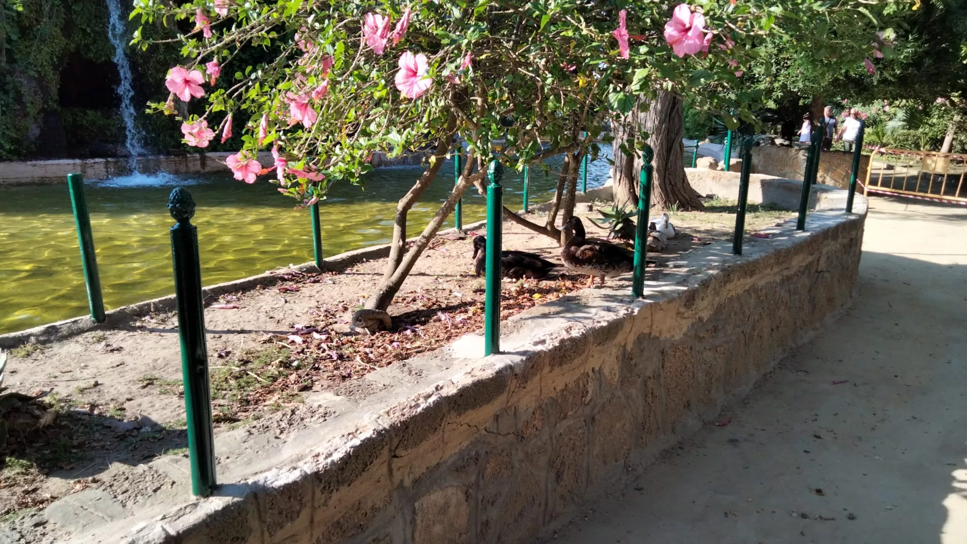 Mejoras Parque Genovés Mejoras Parque Genovés