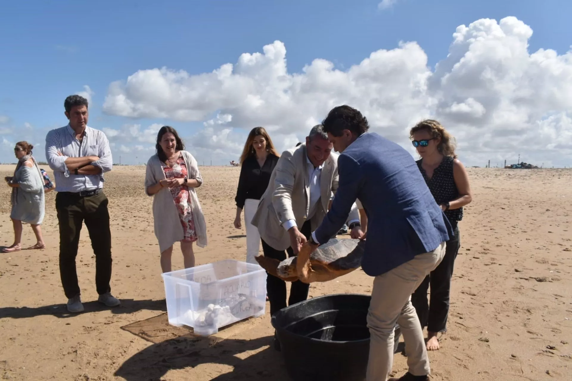 El delegado territorial de Desarrollo Sostenible de la Junta de Andalucía en Cádiz, Daniel Sánchez, durante la suelta de tortugas en Camposoto. Liberadas dos tortugas marinas en la playa de Camposoto rescatadas por SOS Caretta.