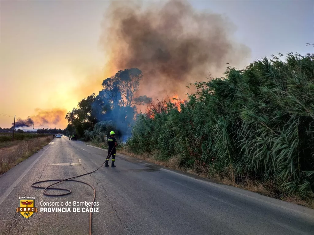 Bomberos actuando en el incendio de Jerez