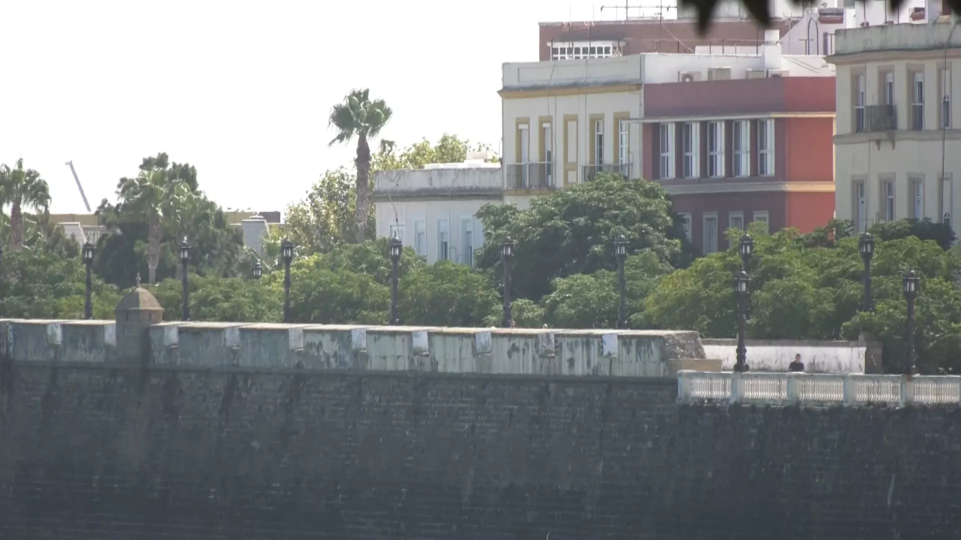 Ejemplares de arbolado de la Alameda