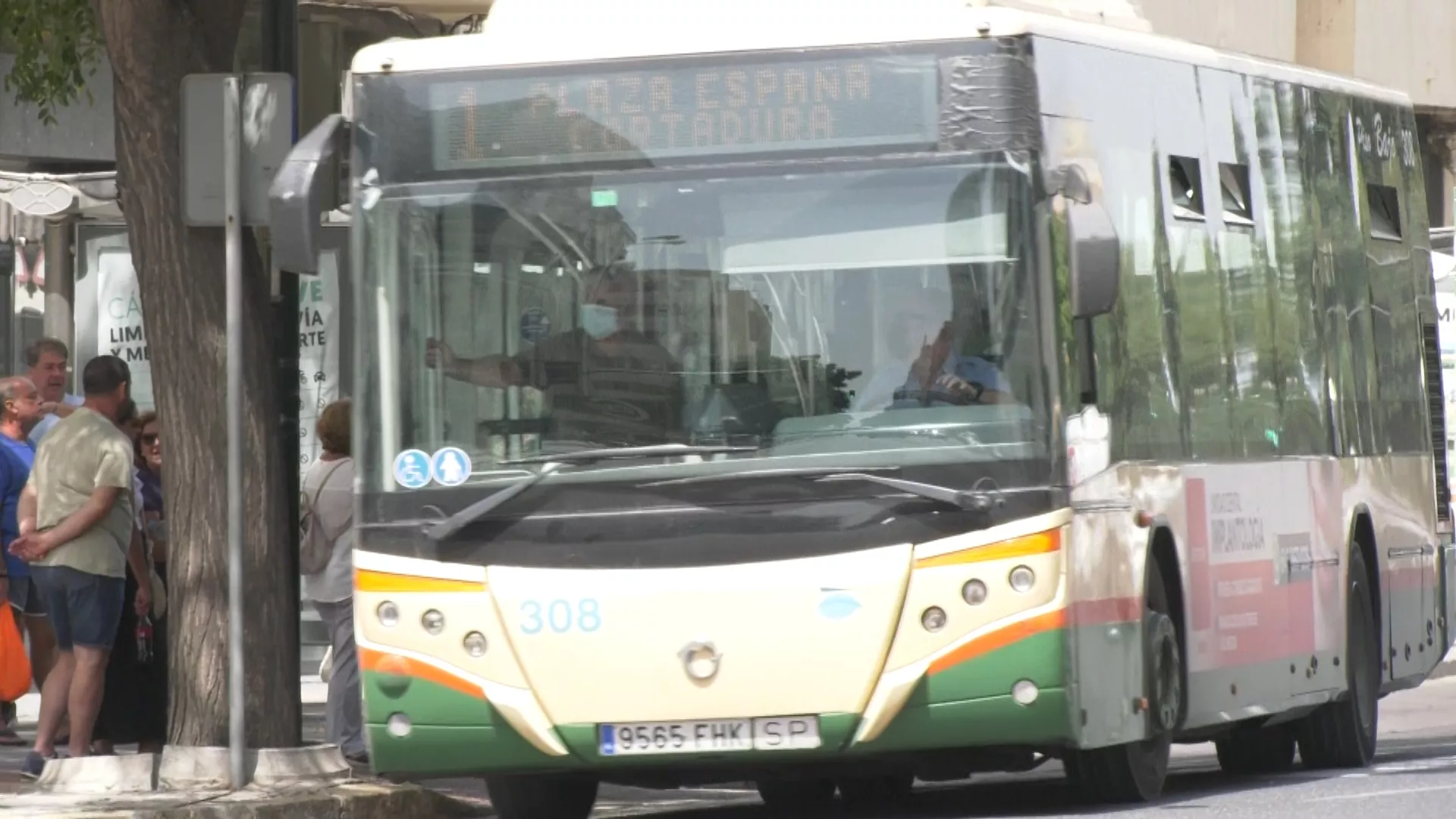 Imagen de un autobús urbano por la avenida principal 
