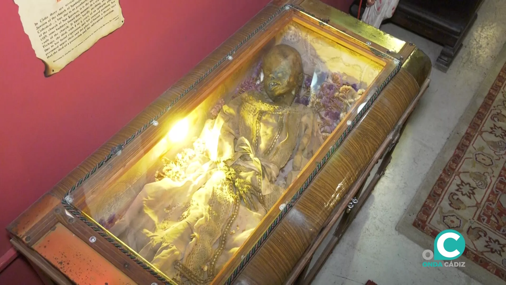 Una de las criaturas que los visitantes podrán ver en el pequeño museo de la Casa del Terror Una de las criaturas que los visitantes podrán ver en el pequeño museo de la Casa del Terror