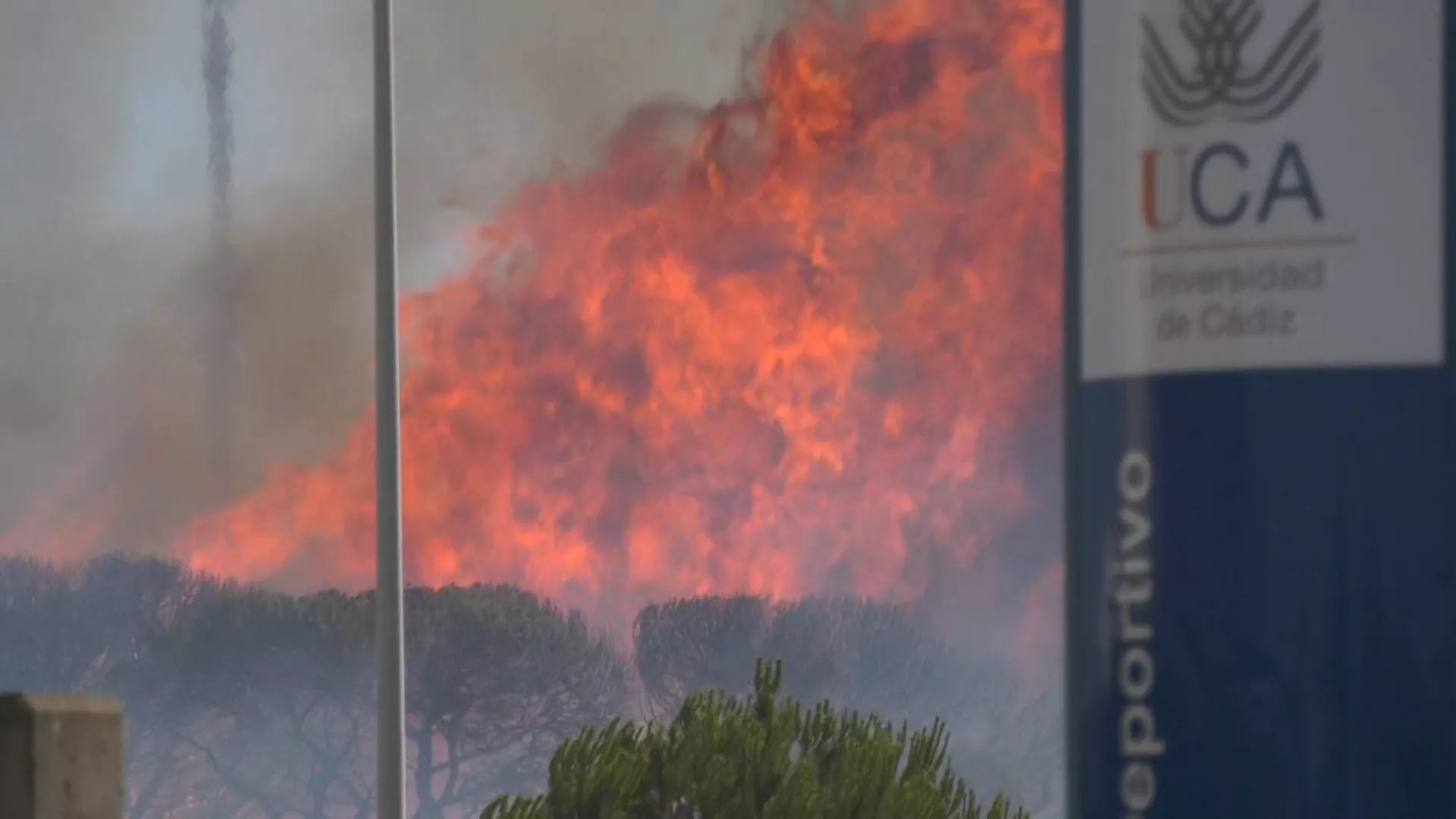 Controlado el incendio en el Río San Pedro 