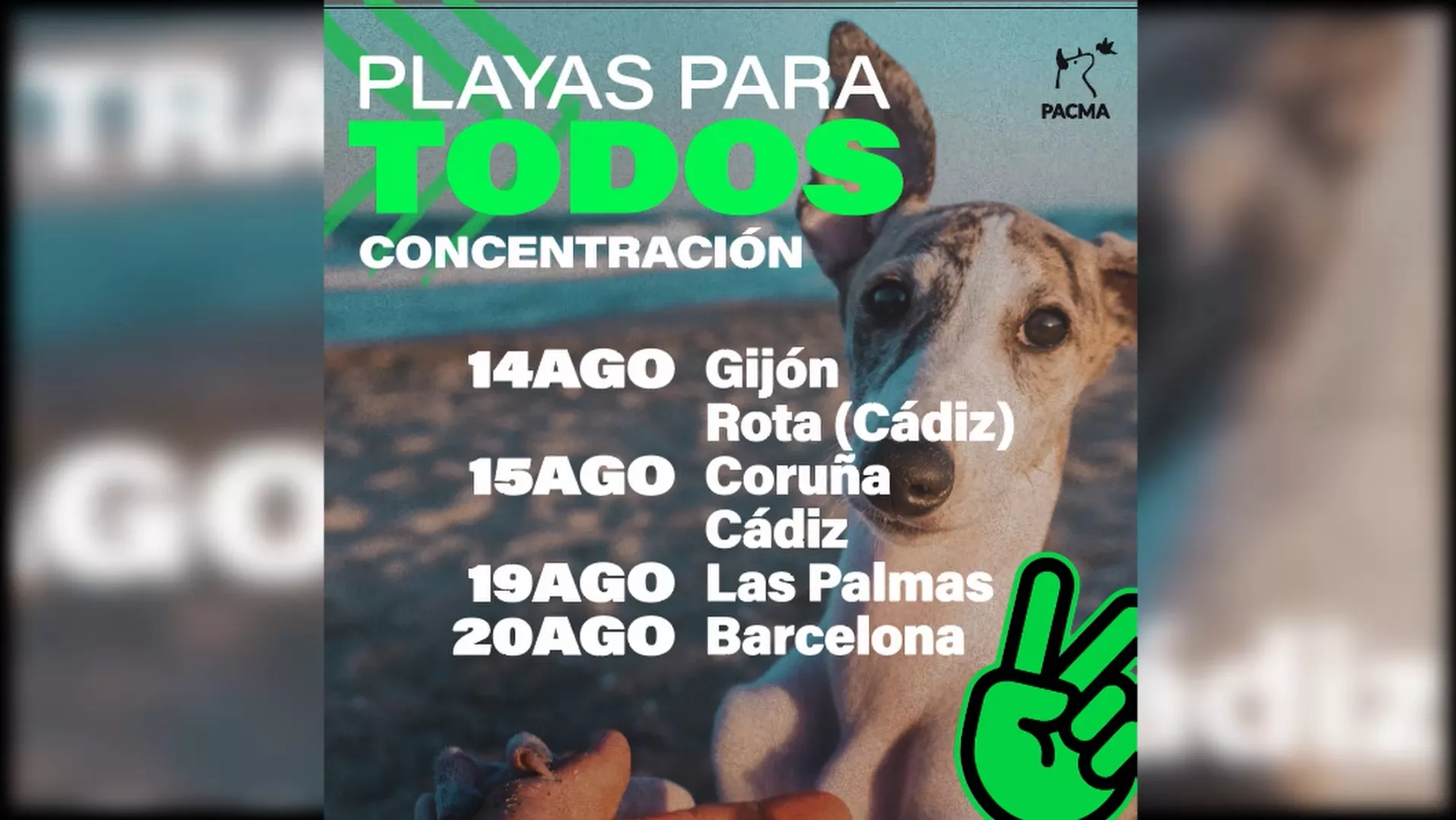 Cartel de las convocatorias de Pacma en favor del acceso de perros a las playas