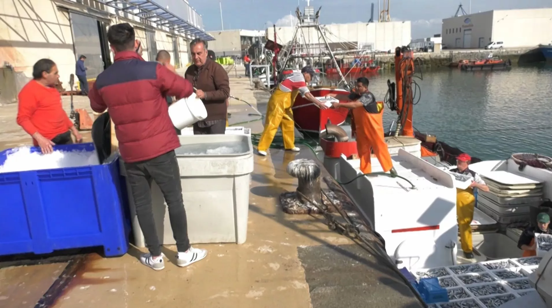 Una cuadrilla de marineros descarga el pescado en el muelle de la Lonja de Cádiz