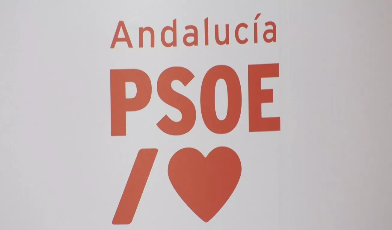 El proceso de elección interna que se celebrará los próximos 21 y 22 de noviembre