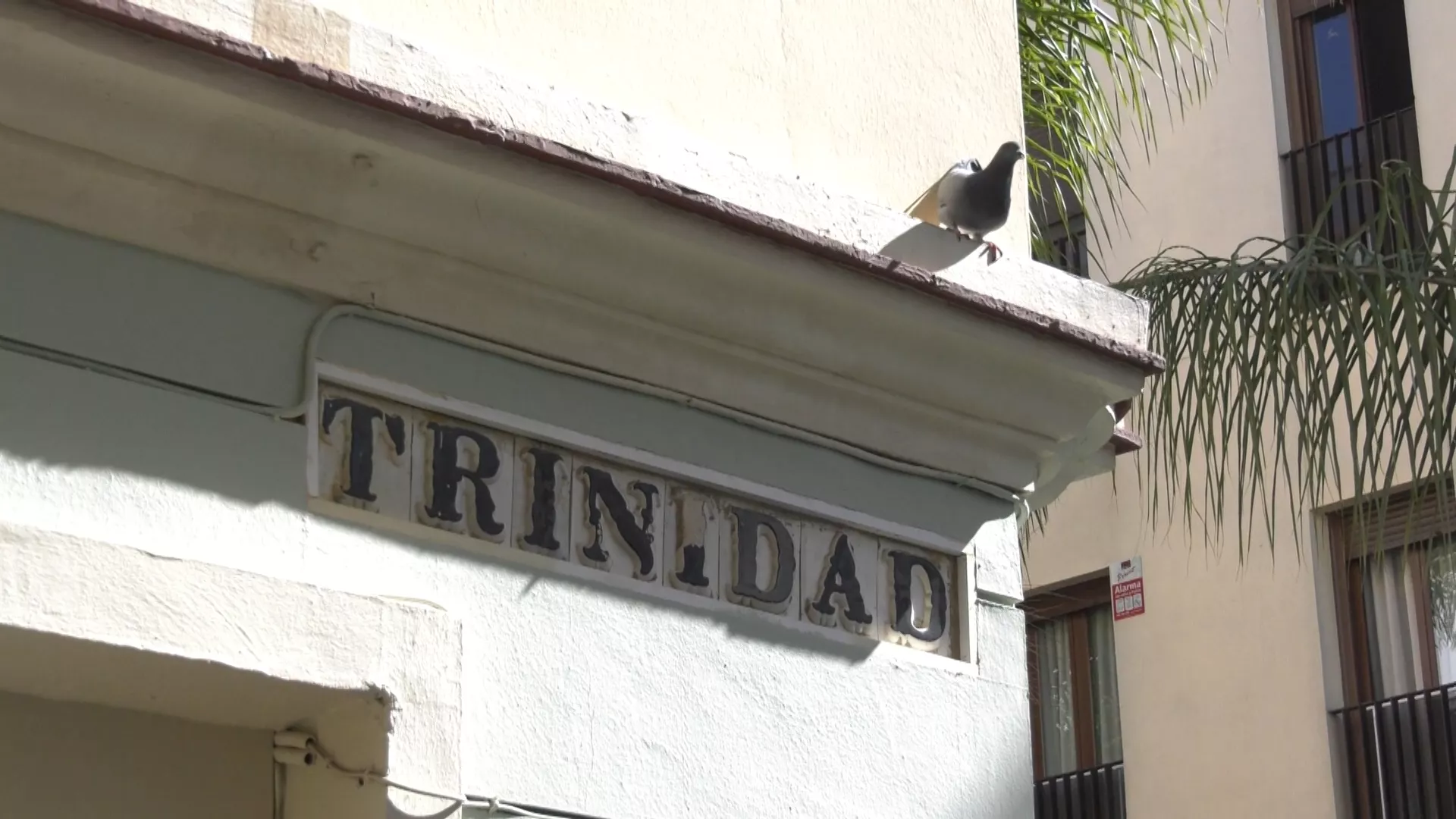 Una vivienda de la calle Trinidad era uno de los ejes de venta de rebujito en el centro 