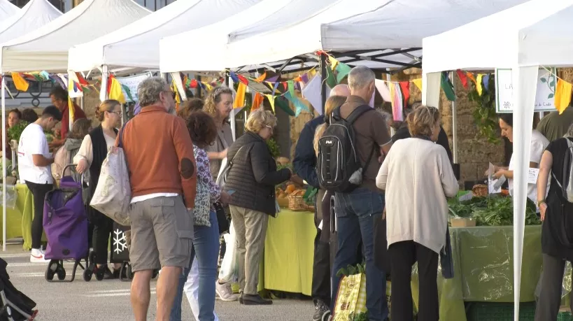 El Ecomercado cumple cuatro años con los productores locales.