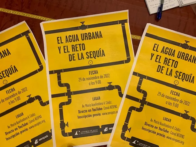 Cartel del evento